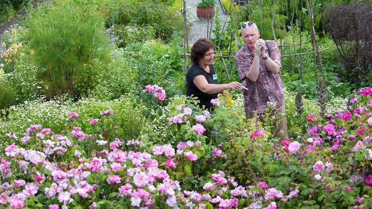 Gardener and visitor talking in the rose garden at Wordsworth House and Garden, Cockermouth, Cumbria
